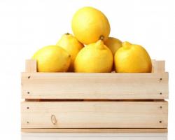 Как правильно хранить лимоны в домашних условиях